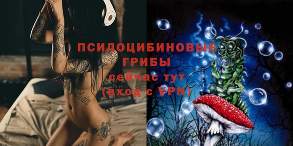 альфа пвп Няндома