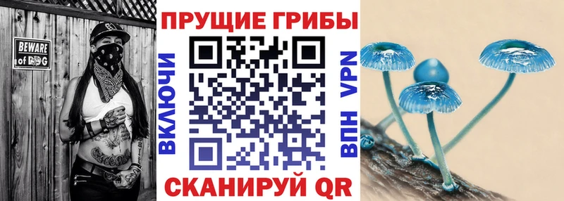 Галлюциногенные грибы ЛСД  Сортавала 
